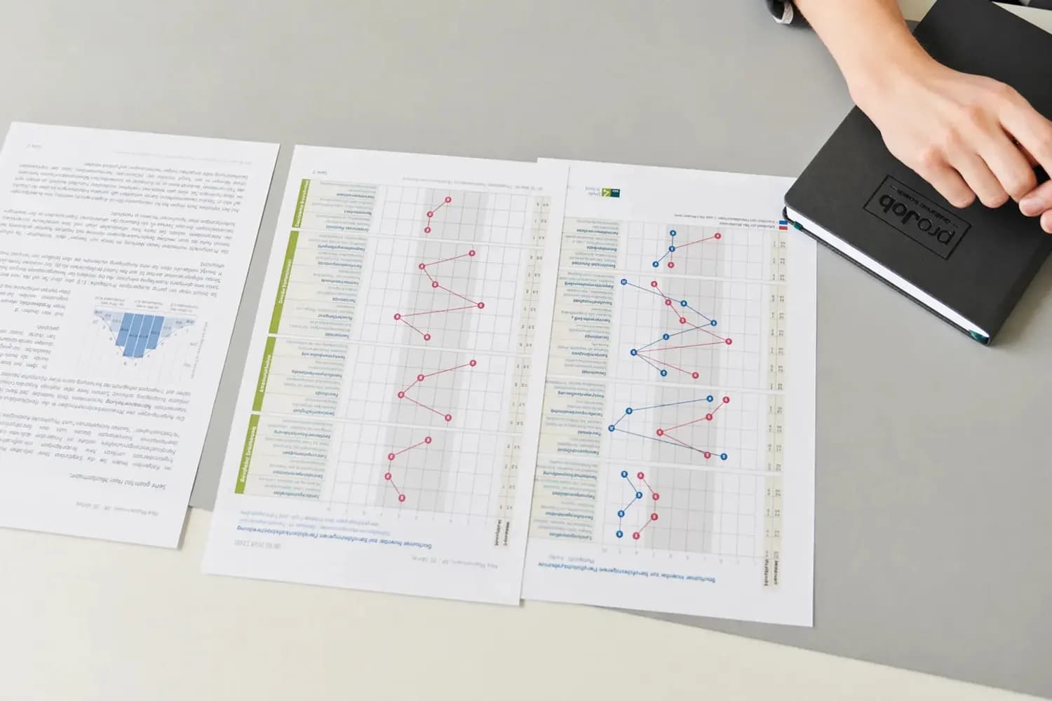 Analyse von Entwicklungsdaten und diagnostischen Ergebnissen zur Bewertung von Führung und organisationaler Entwicklung
