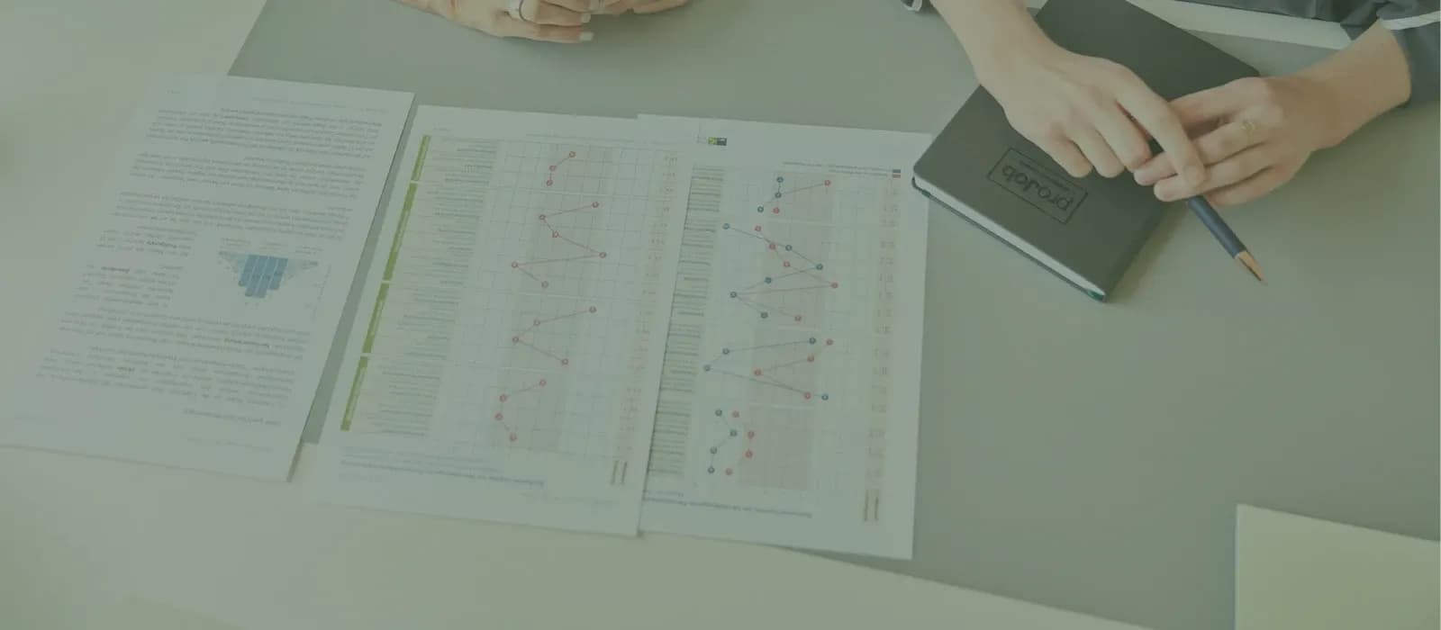 Analyseunterlagen zur Diagnostik mit grafischen Auswertungen und Potenzialprofilen