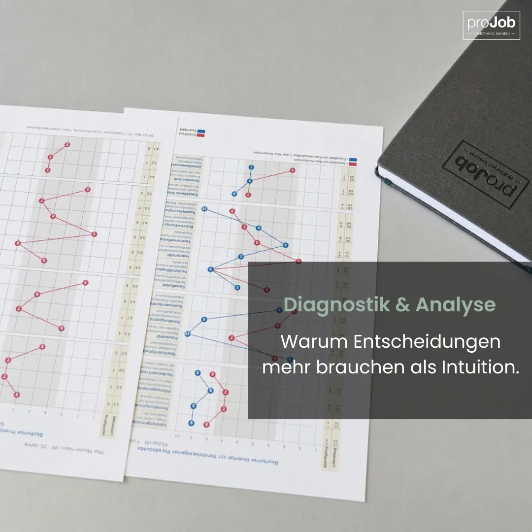 Analyseunterlagen zur Diagnostik mit grafischen Auswertungen und Potenzialprofilen